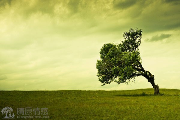 婚姻危机时，通过自我提升，在夫妻关系中发挥正面的作用和价值