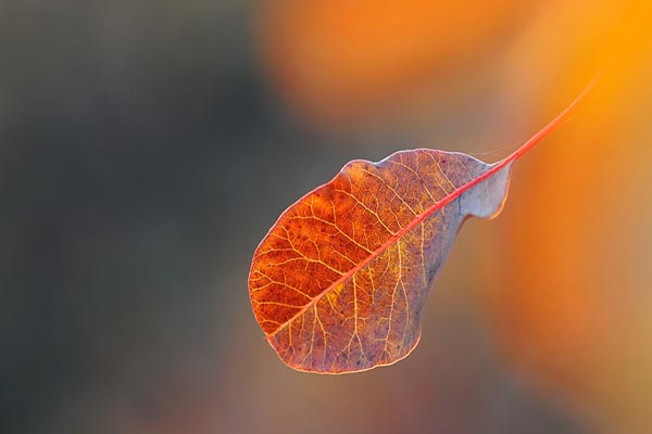 女友闹分手又挽回，努力修复爱情，稳稳驶向美好未来！